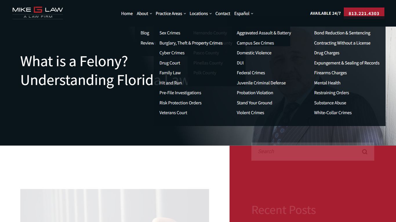 What is a Felony? Understanding Florida Law - Mike G Law